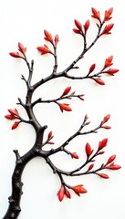 Naklejka premium Ornate branch details on a stark white background, grain, texture