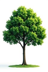 Obraz premium Tree isolated on white background with subtle texture, smooth, peaceful