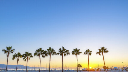 Obraz premium Vibrant sunset with silhouetted palm trees against clear sky, creating serene atmosphere by marina