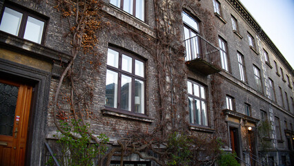 Old brick house covered with plants