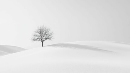 Fototapeta premium Bare tree stands on snow covered hill in a minimalist winter landscape.