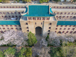 Naklejka premium Cherry blossoms in full bloom at Wuhan University in spring