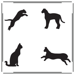 Ocelot silhouette, Ocelot illustration , Ocelot clipart, Ocelot vector ,Ocelot icon , black Ocelot, Ocelot illustration on white background, Ocelot vector illustration ,