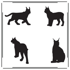 Lynx silhouette, Lynx illustration , Lynx clipart, Lynx vector ,Lynx icon , black Lynx, Lynx illustration on white background, Lynx vector illustration ,