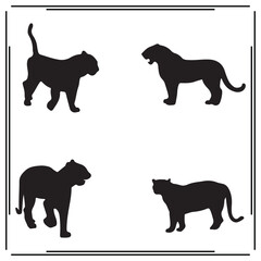 Snow Leopard silhouette, Snow Leopard illustration , Snow Leopard clipart, Snow Leopard vector ,Snow Leopard icon , black Snow Leopard , Snow Leopard illustration on white background, 