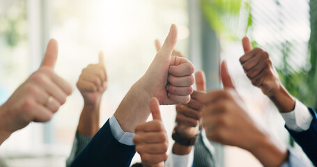 Thumbs up, hands and business people in office with satisfaction, ok or agreement for goal....