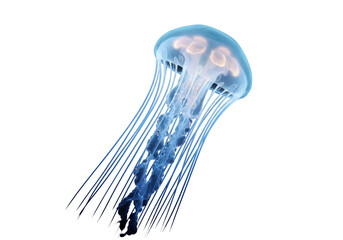 Isolated Glowing Jellyfish with Translucent Body and Flowing Tentacles