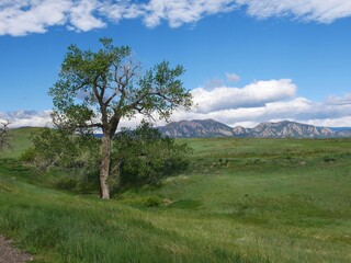 Springtime Flatirons, Rocky mountains from the prairie, Boulder, Colorado