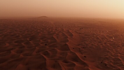 Vertical panning from a quadcopter. Sand dunes with desert plants in the desert in Dubai, United Arab Emirates