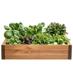 Naklejka premium A square raised wooden garden bed filled with a lush mix of green leafy vegetables and herbs growing in rich dark soil displayed on a transparent background