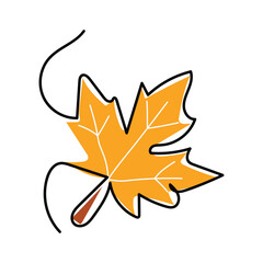 Continuous line illustration depicting a maple leaf. Botanical natural ecological concept, Maple leaf vector icon. Maple leaf vector illustration. Maple leaf vector shape icon. Forest and wood symbol