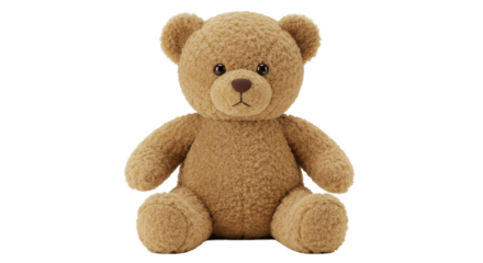Isolated Teddy Bear with Soft Fur and Round Eyes