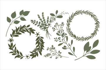 Green laurel wreath vector illustration features a seamless floral pattern with leaf and branch elements for vintage decoration