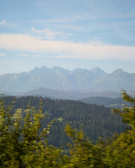 Fototapeta premium High Tatra nation park mountains covered in fog with green leaf trees in the front, Slovakia