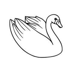 graceful swan swimming line art