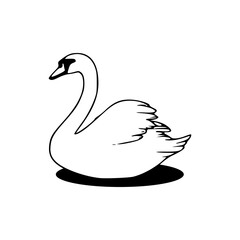 graceful swan swimming line art