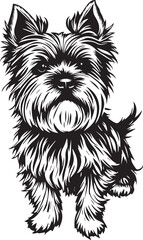 Yorkshire terrier dog. Hand drawn vector illustration	