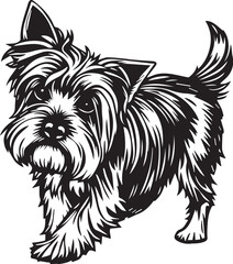 Yorkshire terrier dog. Hand drawn vector illustration	