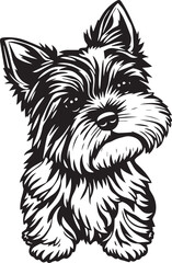 Yorkshire terrier dog. Hand drawn vector illustration	