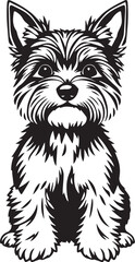 Yorkshire terrier dog. Hand drawn vector illustration	