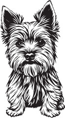 Yorkshire terrier dog. Hand drawn vector illustration	