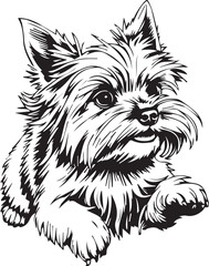 Yorkshire terrier dog. Hand drawn vector illustration	