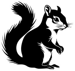 black and white squirrel vector illustration