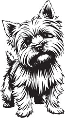 Yorkshire terrier dog. Hand drawn vector illustration	