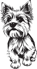 Yorkshire terrier dog. Hand drawn vector illustration	