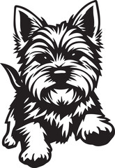 Yorkshire terrier dog. Hand drawn vector illustration	