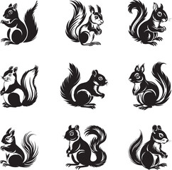 squirrel set black and white vector illustration