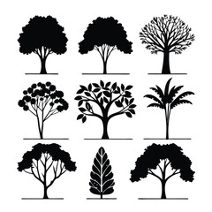 Fototapeta premium “Tree Silhouettes: Nature’s Shadows in Minimalist Beauty”