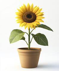 Obraz premium Potted Sunflower – Minimal 3D Botanical Illustration