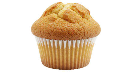 Isolated Vanilla Cupcake in Paper Liner