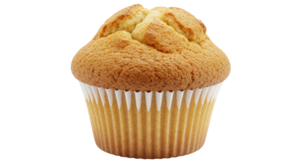 Isolated Vanilla Cupcake in Paper Liner