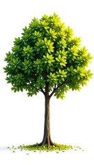 Tree isolated on white background with leaves scattered around the base, white, branch