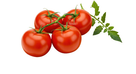 Isolated Tomatoes