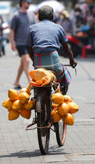 A man rides a bicycle with a basket full of coconuts on his back