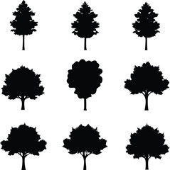 “Tree Silhouettes: Nature’s Shadows in Minimalist Beauty”