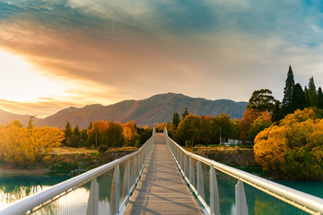 Obraz premium Arch bridge over Lake Tekapo in autumn forest at New Zealand