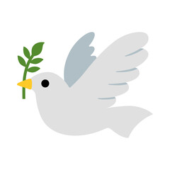 Dove isolated on white background