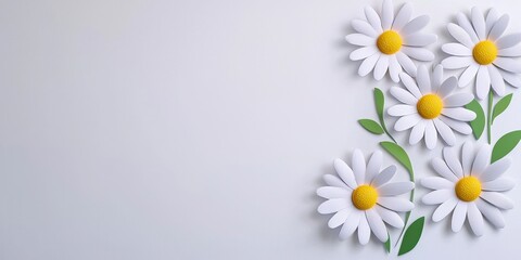 White Daisy Floral Arrangement Art