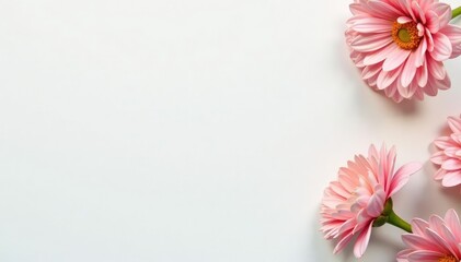 Smooth, pristine white surface ideal for product shots, jar, studio