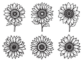 Sunflower line art creating a peaceful and serene botanical masterpiece