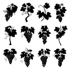 Grapevine Silhouette Vector Bundle Black and White Grapevine Clipart EPS Illustration