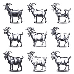 Fototapeta premium Goat Silhouette Vector Bundle Black and White Goat Clipart EPS Illustration