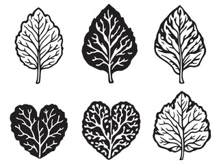 Obraz premium Sweet Potato Leaves line art healthy natural leafy vegetable