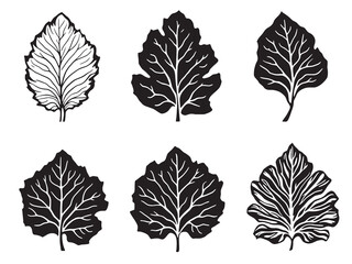 Taro Leaves line art minimalist botanical illustration