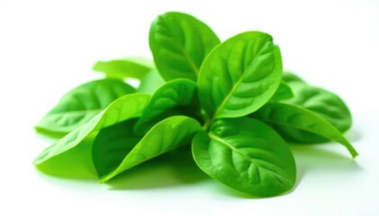 Fototapeta premium Fresh spinach leaves isolated on white background, white, isolated, spinach