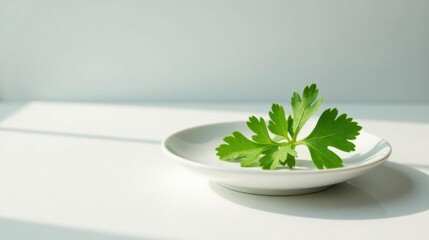 A sprig of fresh green herbs rests gently on a pristine white saucer, bathed in soft, natural light.